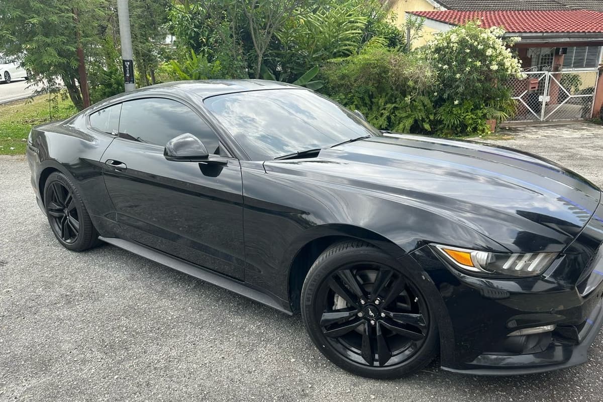 Ford Mustang 2.3 EcoBoost 2019